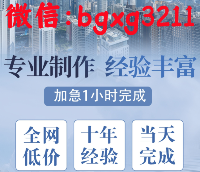 人行征信報告pdf修改2024簡版個人征信報告