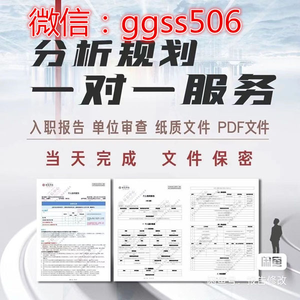 個人征信pdf電子版修改征信報告新編輯器