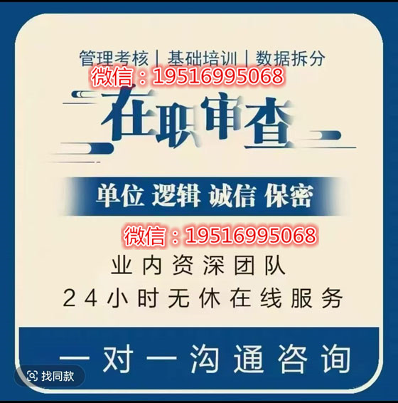 入職電子版征信報告PDF無痕修改方案策劃